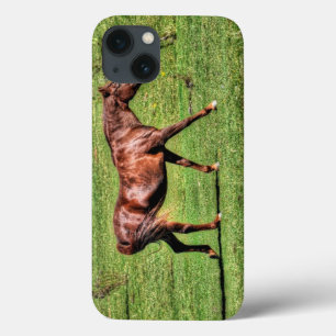Horses - American Western Theme iPhone 13 Case