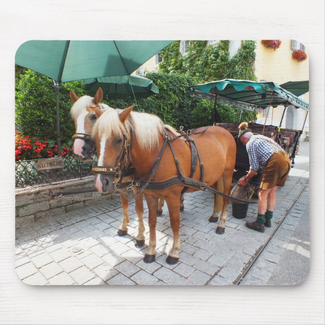 Horses and carriage mouse mat (Front)
