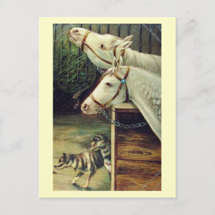 Horses and Dogs Vintage Postcard