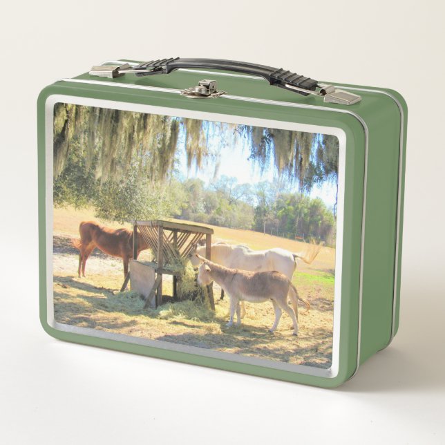 Horses and Donkey Lunch Time  Metal Lunch Box (Front)