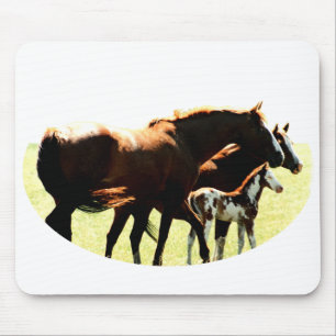 Horses and Foal Picture Mouse Mat
