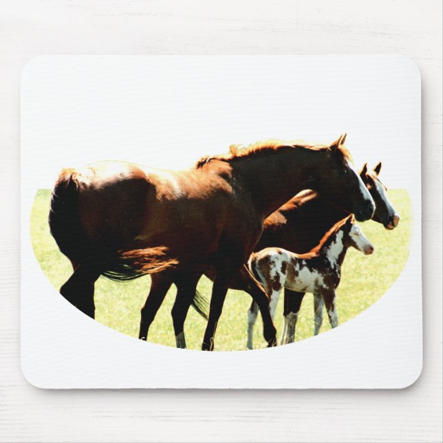 Horses and Foal Picture Mouse Mat (Front)