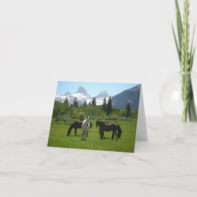 Horses and Mules in front of Teton Mountains Thank You Card (Front)