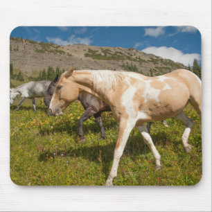Horses and Mules Mouse Mat