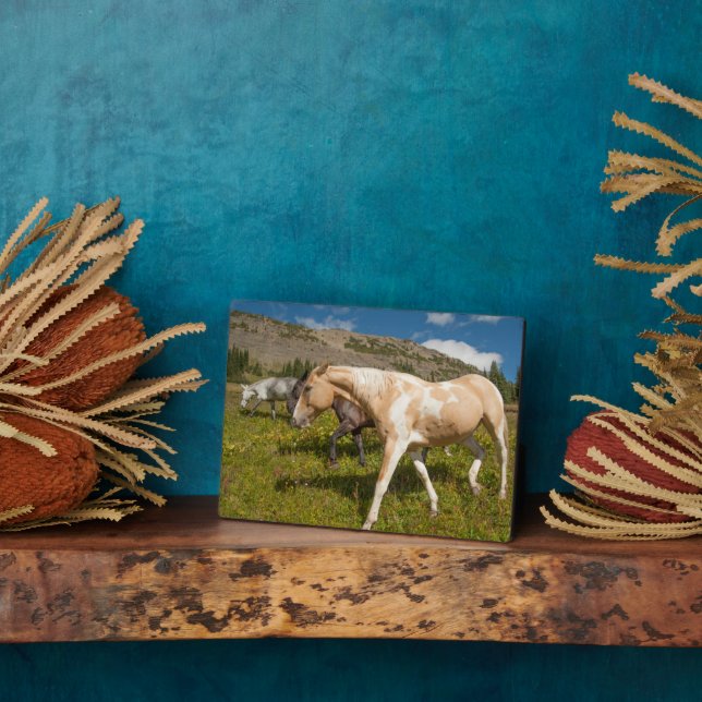 Horses and Mules Plaque (Side)