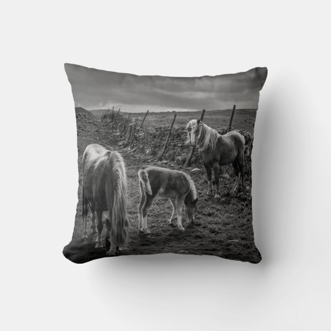 Horses and Pony Pillow (Front)