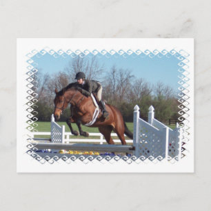 Horses and Show Jumping Postcard