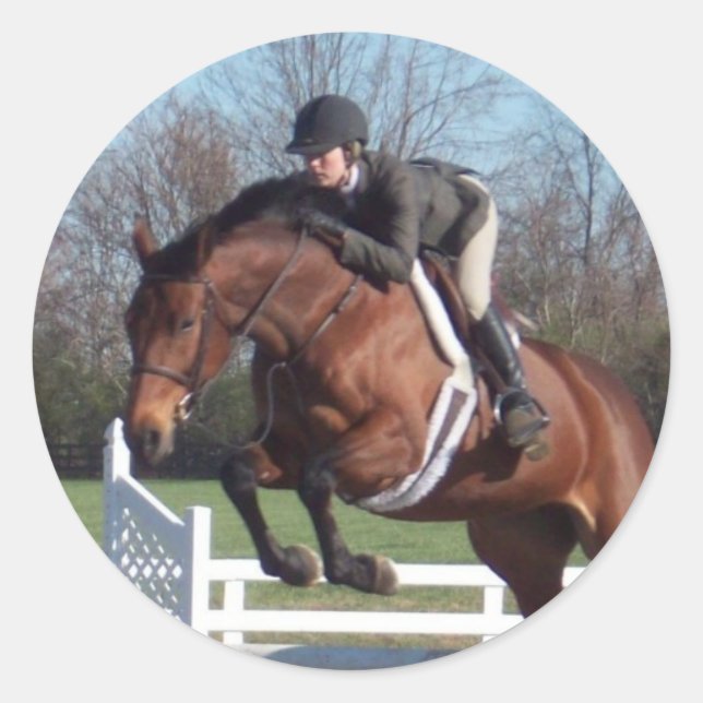 Horses and Show Jumping Stickers (Front)