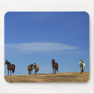 Horses and Sky Mouse Mat