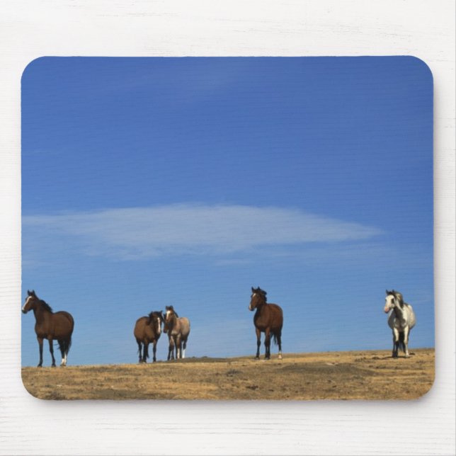 Horses and Sky Mouse Mat (Front)