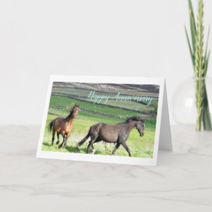 Horses Anniversary Card