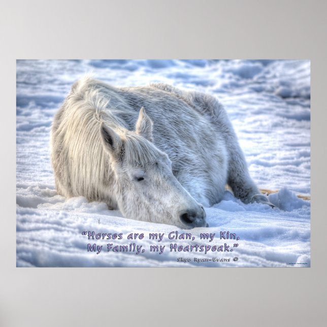 Horses are my Clan Quote Mare Asleep Motivational Poster (Front)