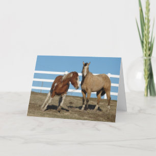 Horses Argue, Friends Forever Card