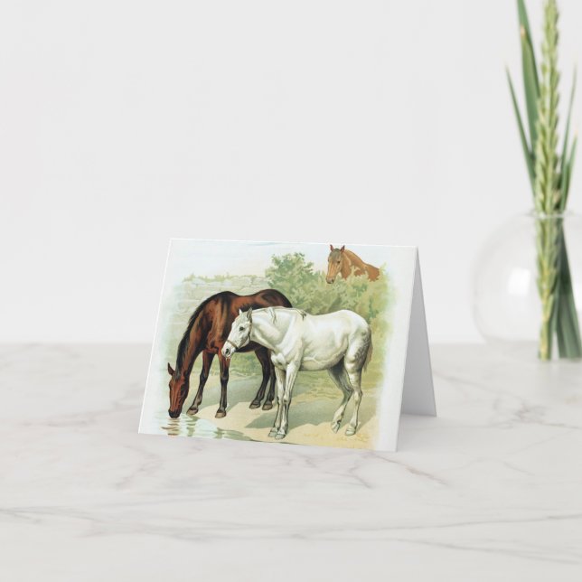 Horses art illustration card (Front)