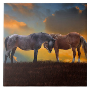 Horses Art Sunset Country Surreal Tile