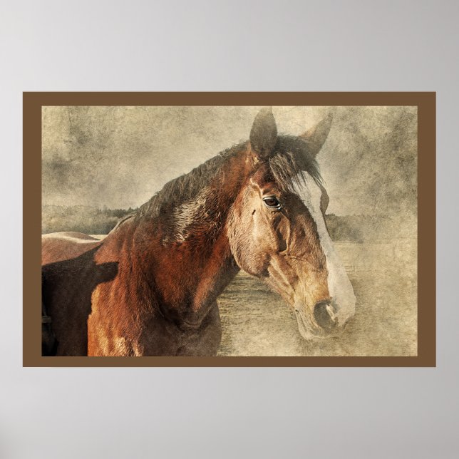 Horses Artwork Photo Poster (Front)
