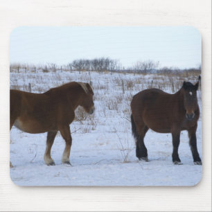 Horses at Cape Kiritappu, Hokkaido Prefecture, Mouse Mat