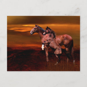 Horses at dusk postcard
