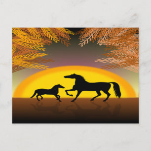 horses at sunset postcard