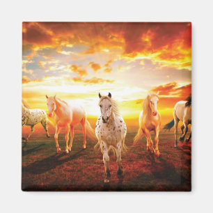 Horses at sunset throw pillow magnet