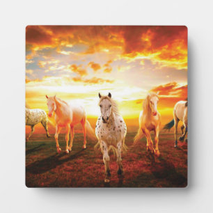 Horses at sunset throw pillow plaque