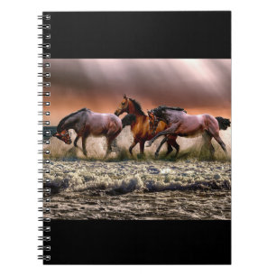 Horses at the beach notebook