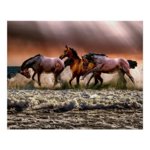 Horses at the beach poster