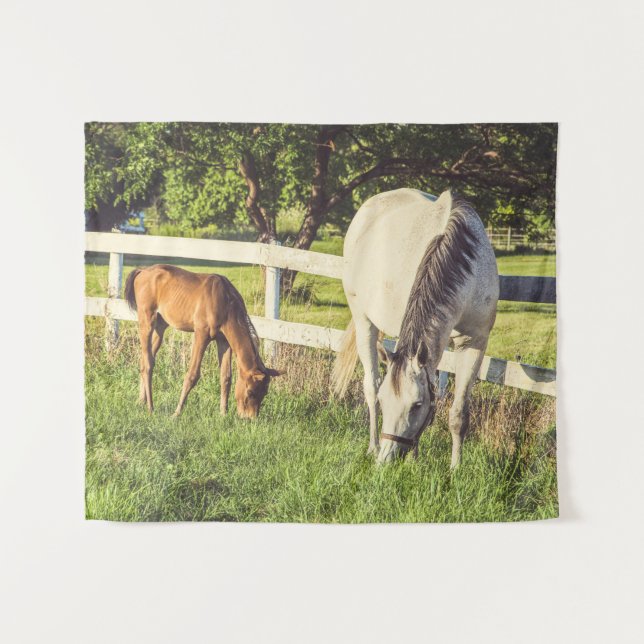 Horses Baby Farm Animals Medium Tapestry (Front (Horizontal))