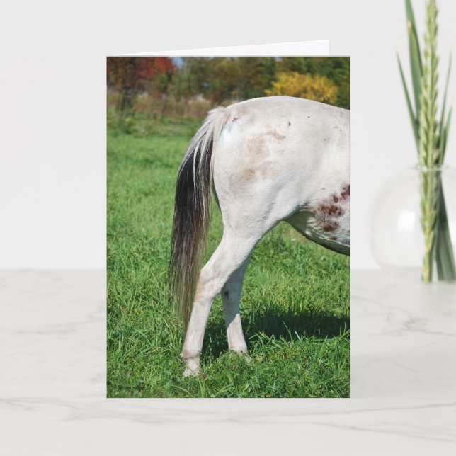 Horse's backside for goodbye card (Front)