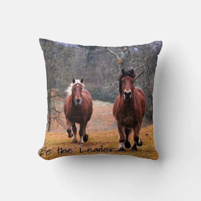 Horses Be The Leader Cushion (Front)