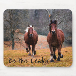 Horses Be The Leader Mouse Mat
