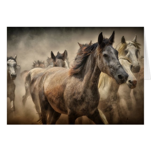Horses Blank Card (Front Horizontal)