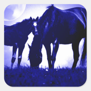 Horses & Blue Night Square Sticker