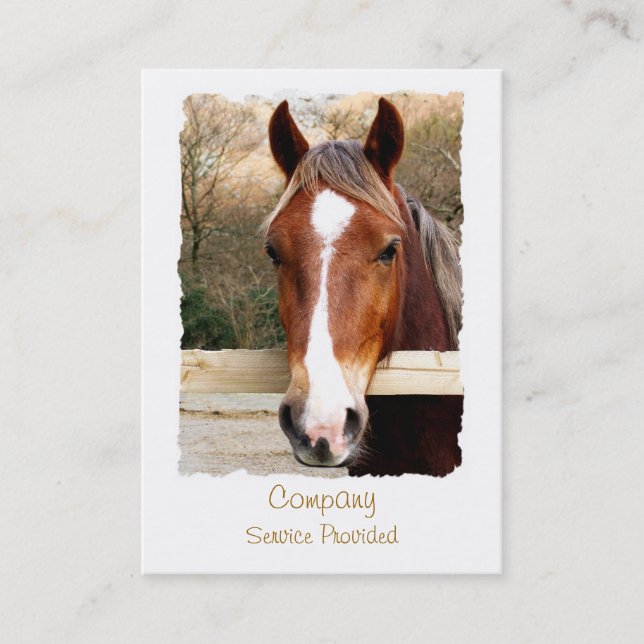 HORSES BUSINESS CARD (Front)