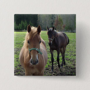 Horses button