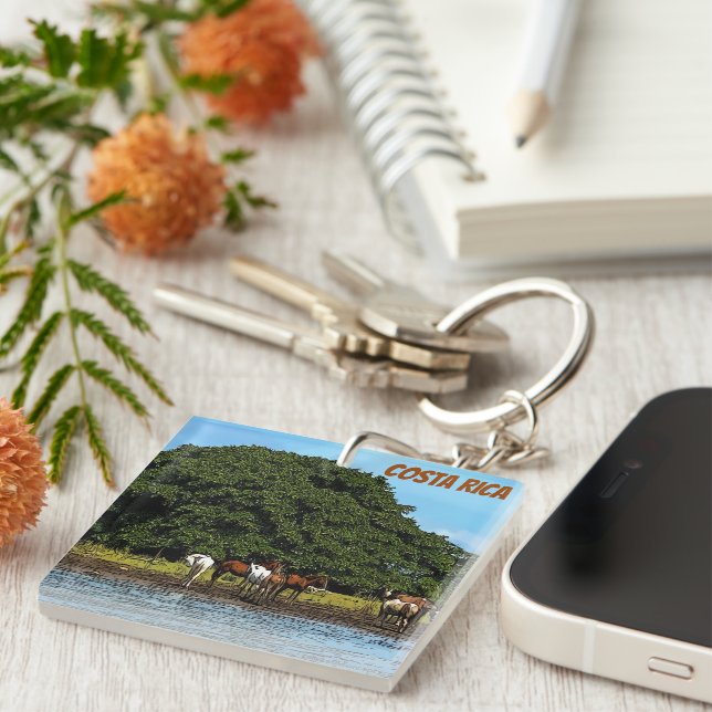 Horses by the water - Costa Rica  Key Ring (Front Right)