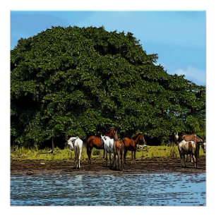 Horses by the water - Costa Rica Poster