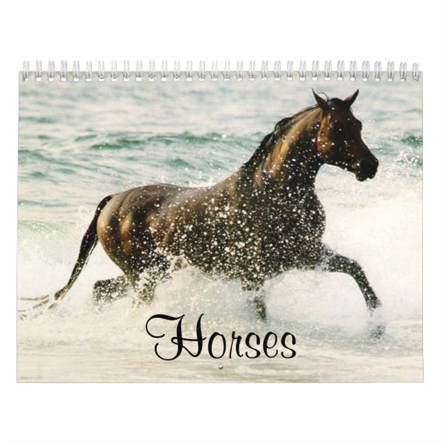 Horses Calendar (Cover)