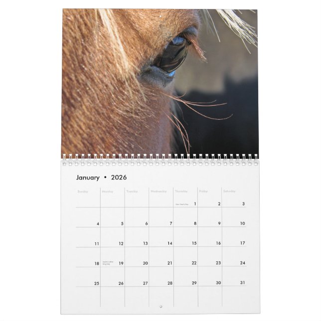 Horses Calendar (Jan 2026)
