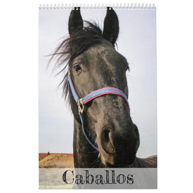 Horses Calendar... Calendar (Cover)