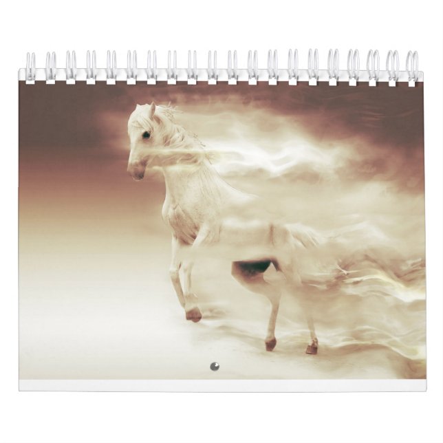Horses Calendars-2018 Beautiful Pictures of Horses Calendar (Cover)