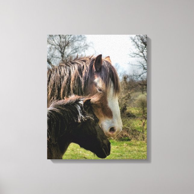 HORSES CANVAS PRINT (Front)