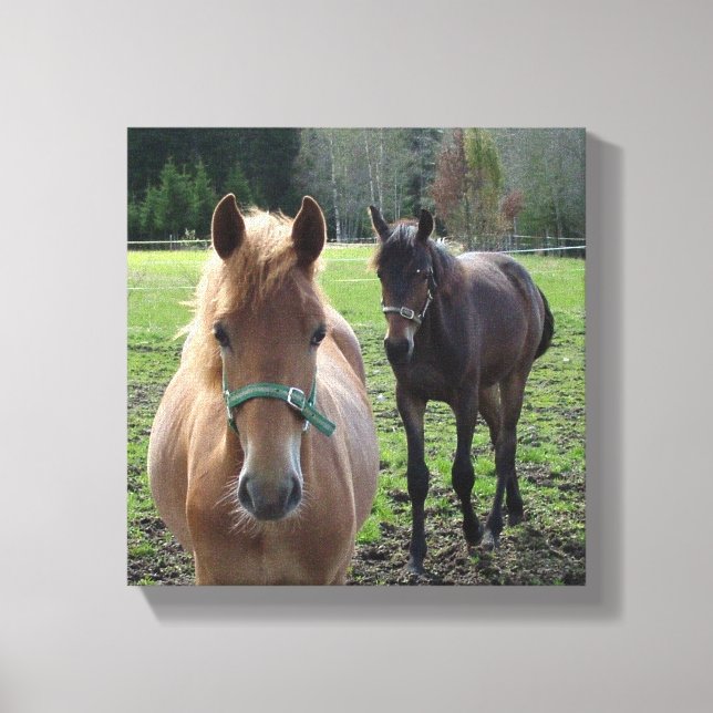 Horses canvas print (Front)