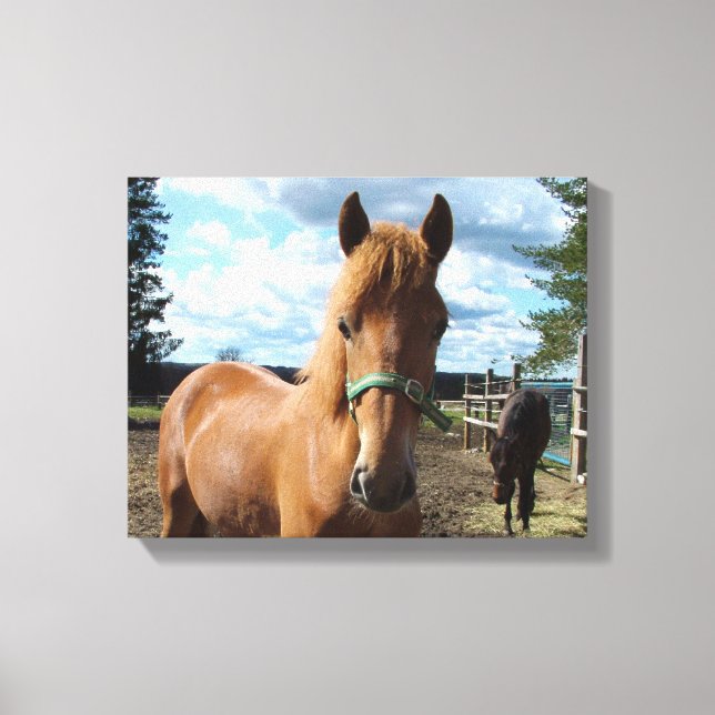 Horses canvas print (Front)