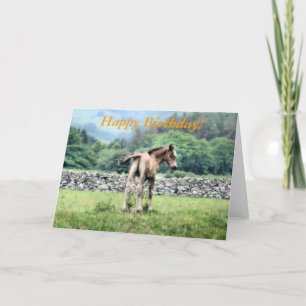 HORSES CARD