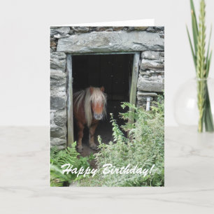 HORSES CARD