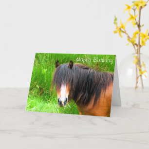 HORSES CARD
