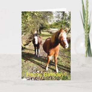 HORSES CARD