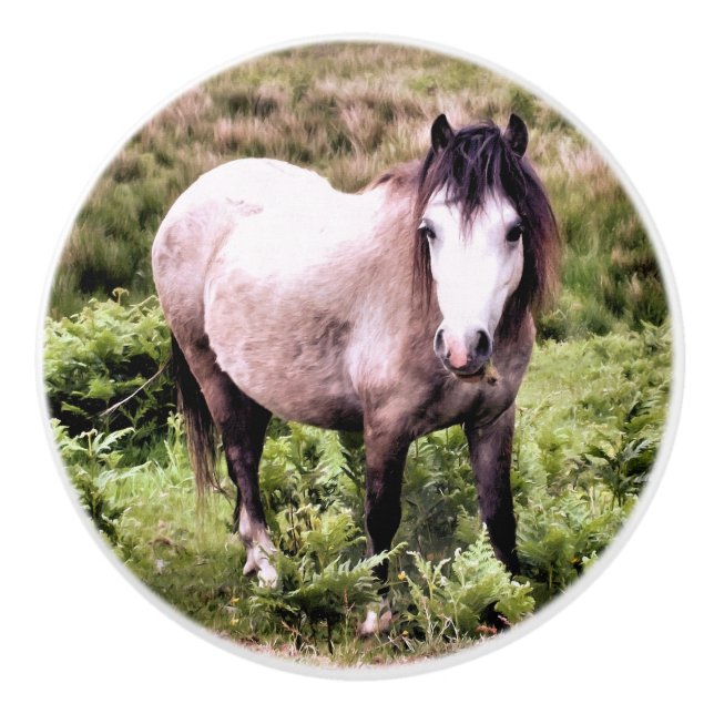 HORSES CERAMIC KNOB (Front)