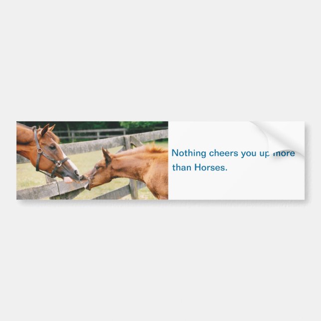 Horses cheer you up Bumper Sticker (Front)